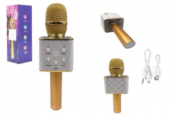  Mikrofon karaoke kov 25cm nabjen pes USB - Kliknutm zobrazte detail obrzku.